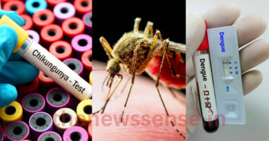 Jharkhand dengue chikungunya news