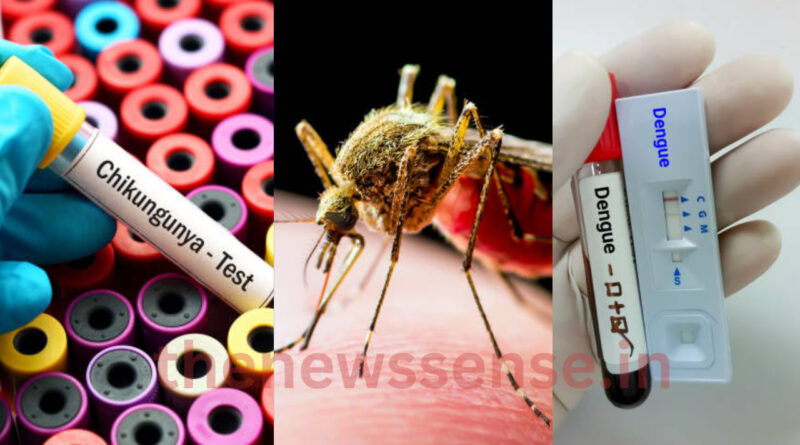 Jharkhand dengue chikungunya news