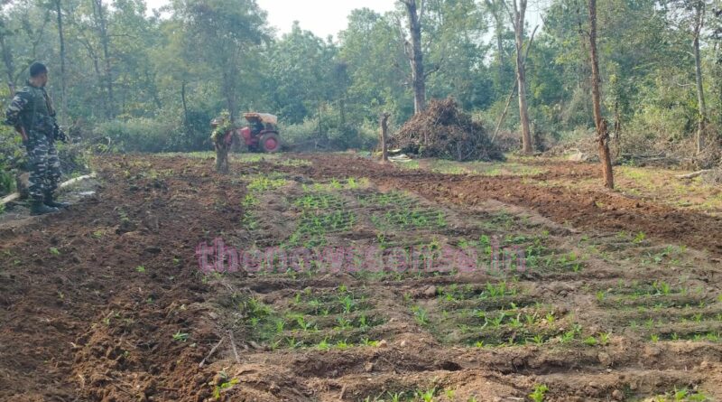 Herhanj Latehar poppy cultivation